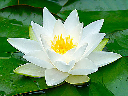 www.yaxin686.com