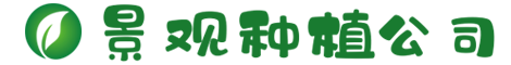 www.yaxin686.com